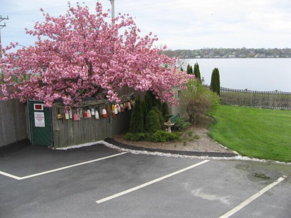 Sea Whale Motel - photo 25