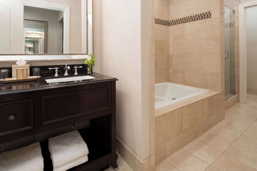 The Roosevelt New Orleans A Waldorf Astoria Hotel - photo 104