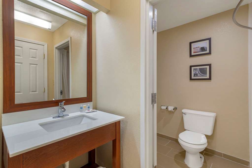 Comfort Inn & Suites near Robins Air Force Base Main Gate - photo 7