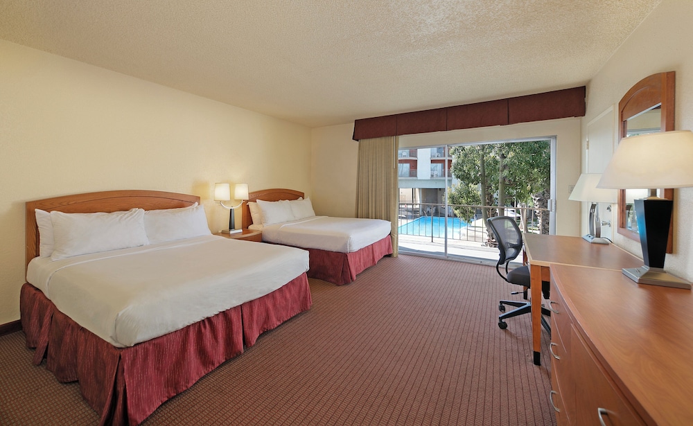 Golden Sails Hotel - photo 23