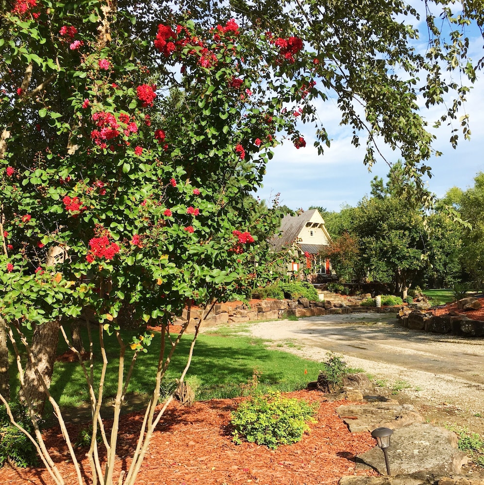 BarDew Valley Inn - photo 48
