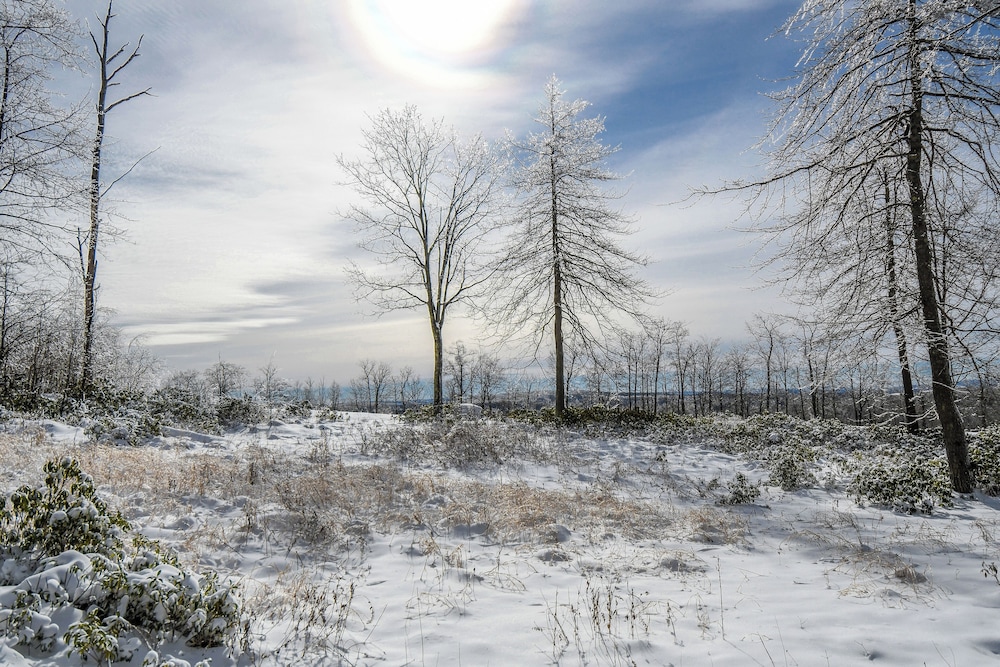 Woods Stock - photo 44