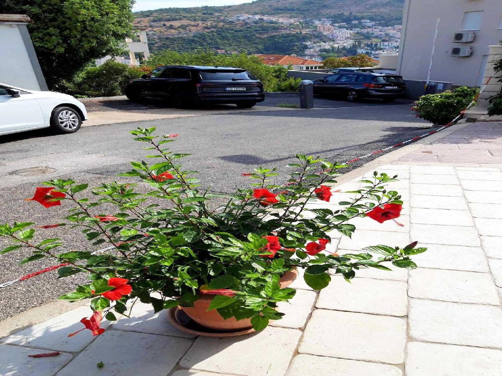 Charming Apartment in Dubrovnik 40 m Parking Included