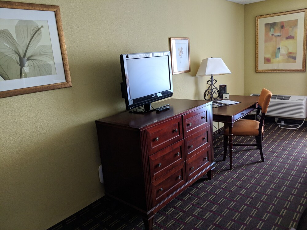 Vista Inn Lake Tarpon - photo 8