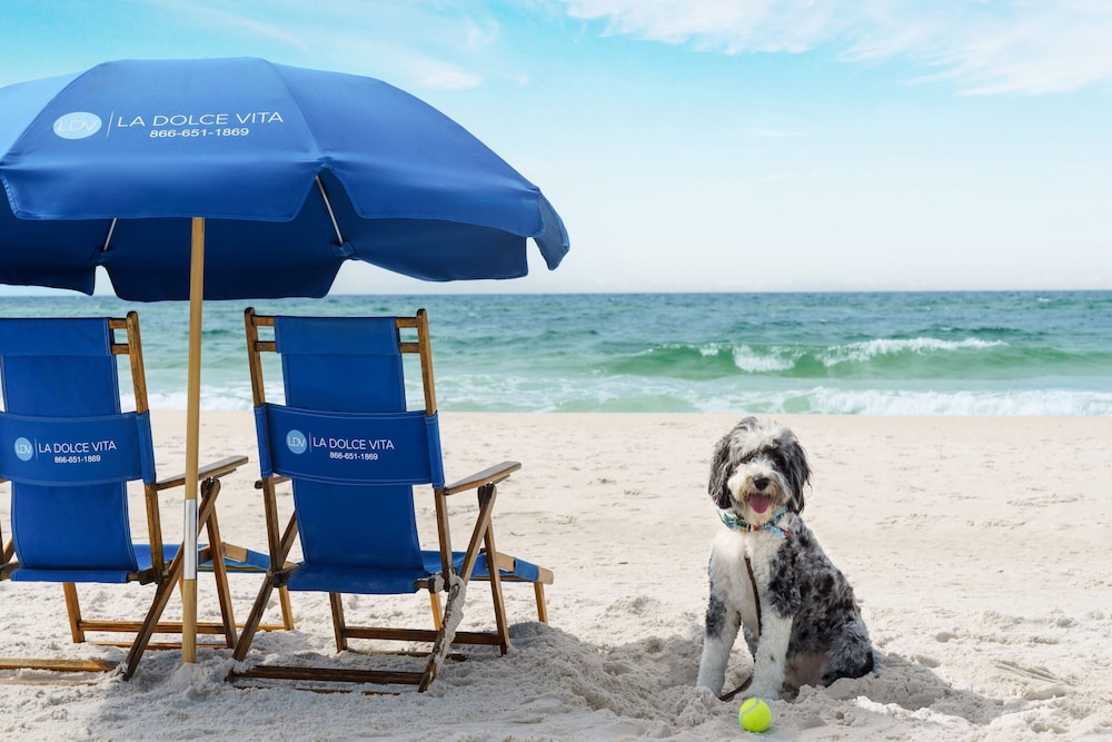 Four Points by Sheraton Destin Fort Walton Beach - photo 70