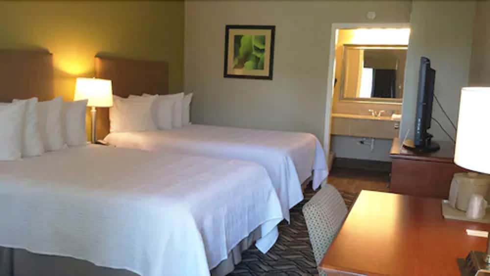 Wingfield Inn - photo 8