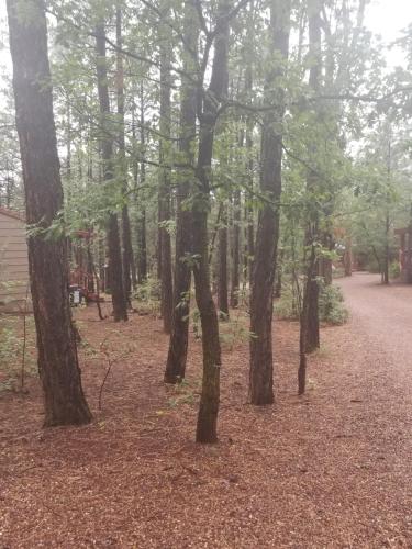 Northwoods Resort Cabins - photo 16