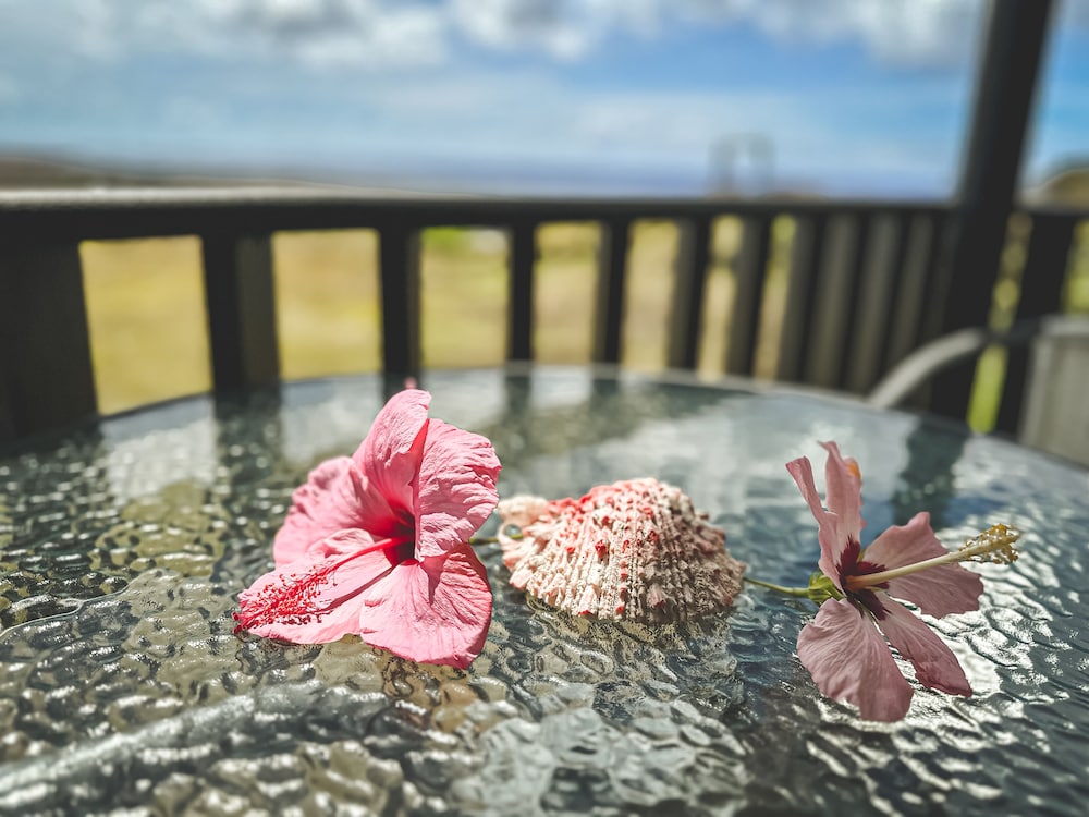 Maunga roa eco lodge — Hanga Roa — photo 3