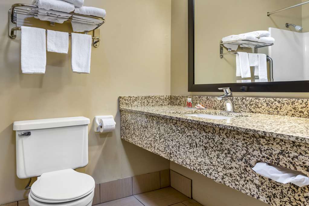 Econo Lodge La Crosse North - photo 25