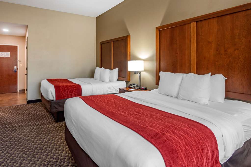 Comfort Inn & Suites Atoka Millington - photo 9