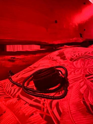 Loveroom en bords de Meuse - last minute hotel in Floing