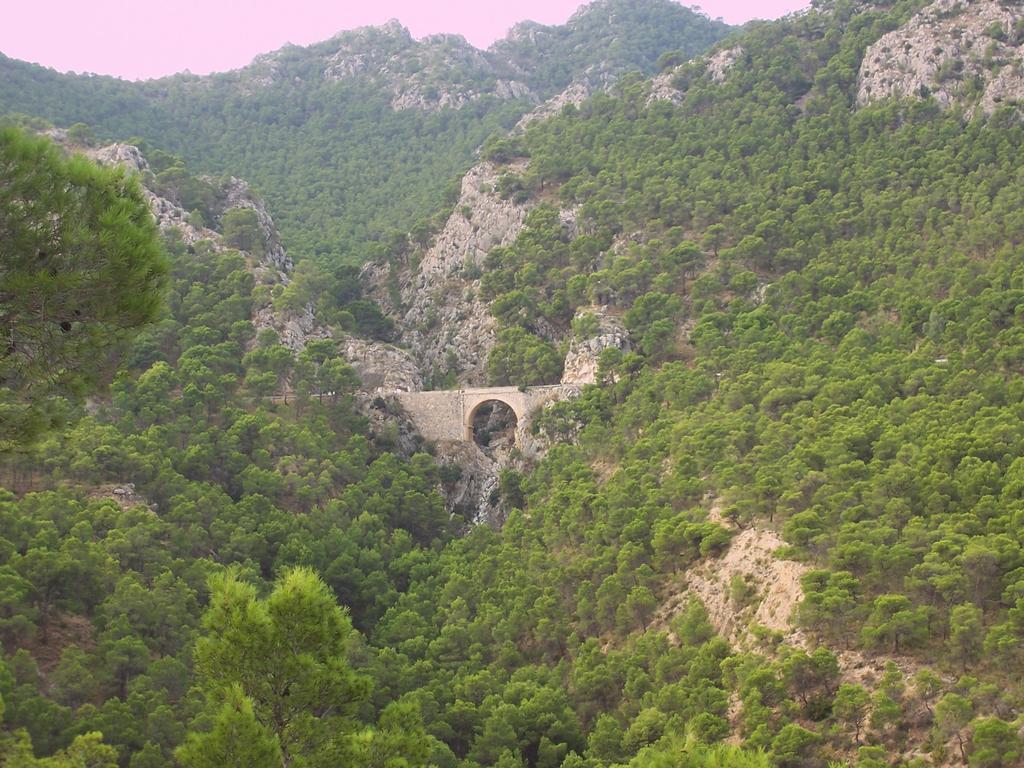 Aljibe De Monastrell — hotel in Ricote