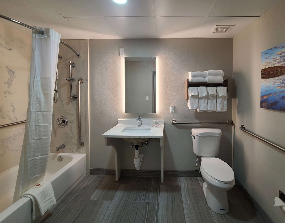 Comfort Inn Boston Milford - photo 27