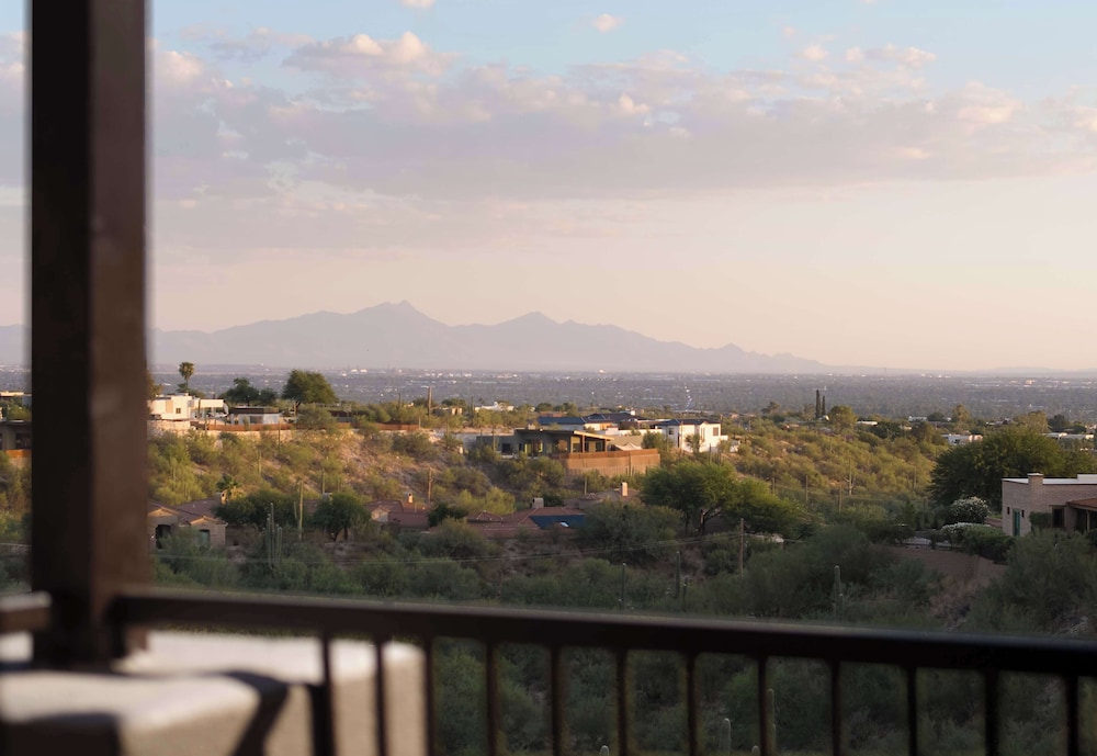 Embassy Suites by Hilton Tucson Paloma Village - photo 18