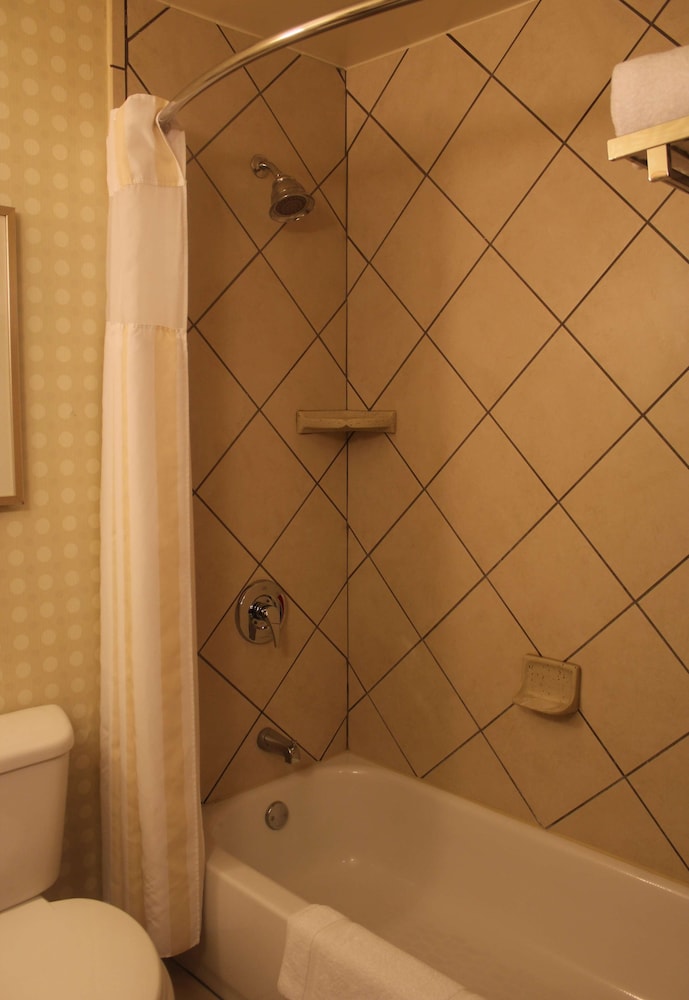 Hilton Garden Inn Starkville - photo 63