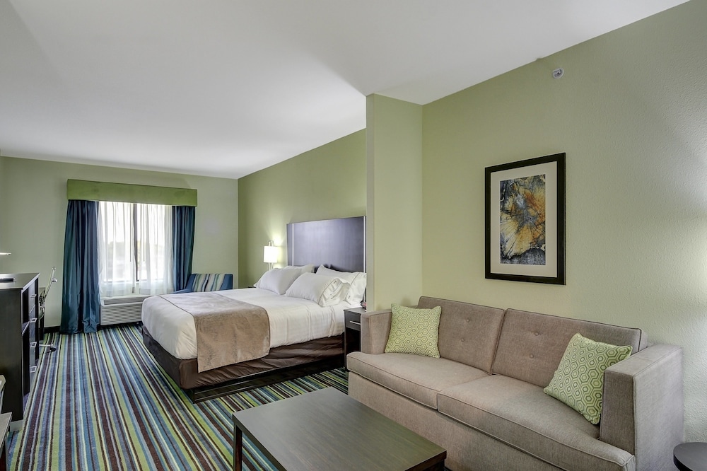 Holiday Inn Express & Suites Carrizo Springs by IHG - photo 7