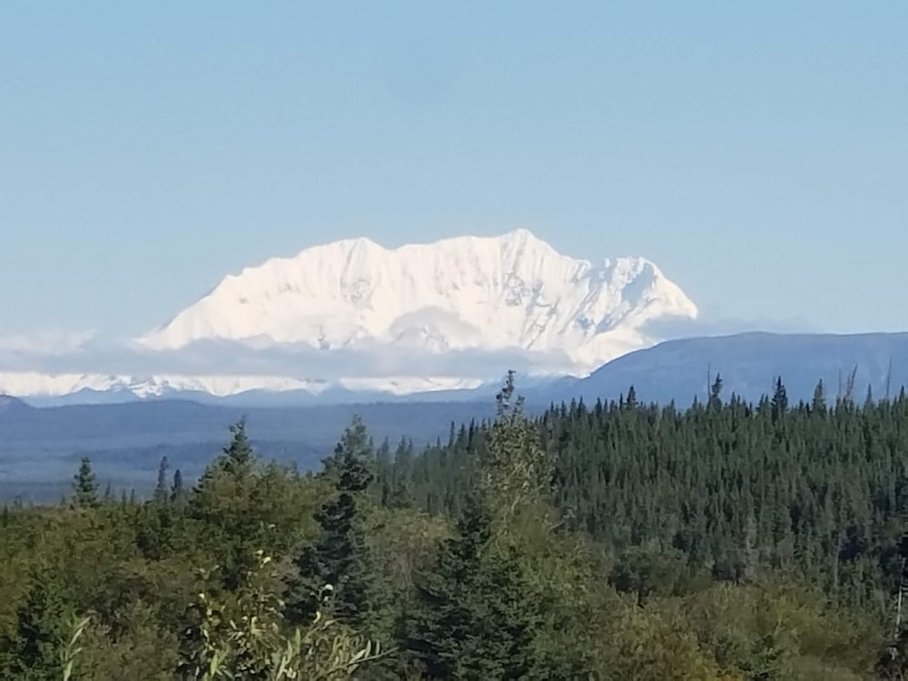 Denali Wild Stay - photo 86