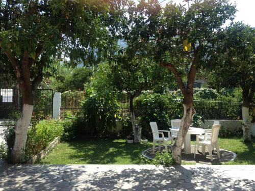 Villa Martha — Corfu — photo 3
