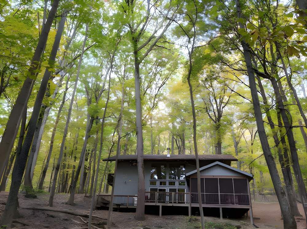 Autumn Wings A Natural Retreat — Berkeley Springs