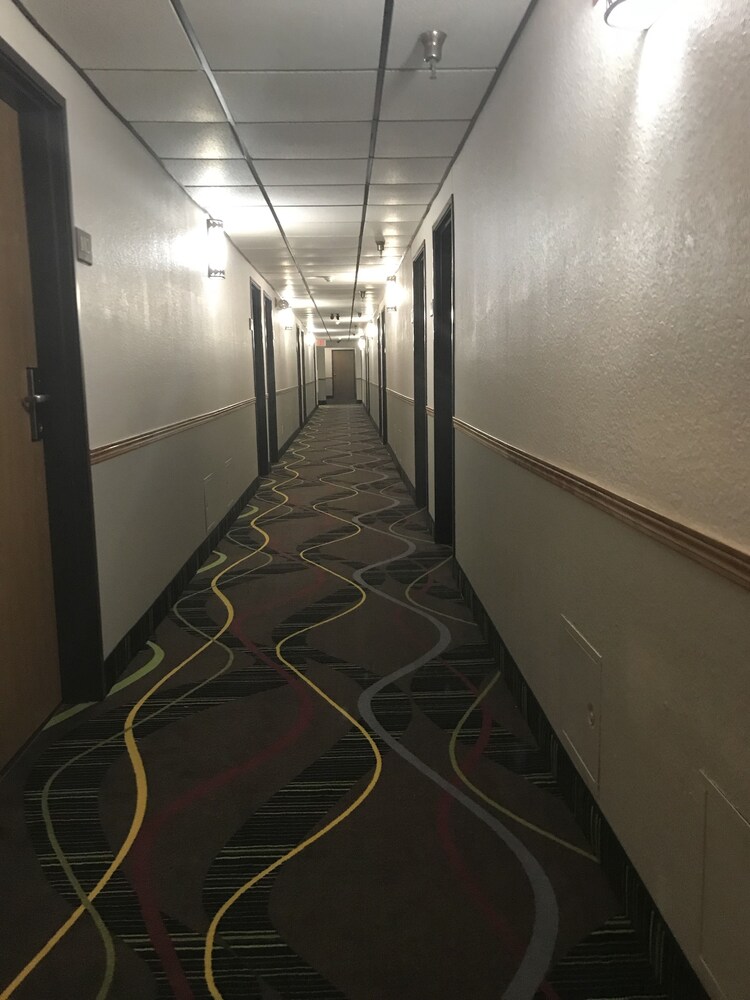 Walker Hotel - photo 18