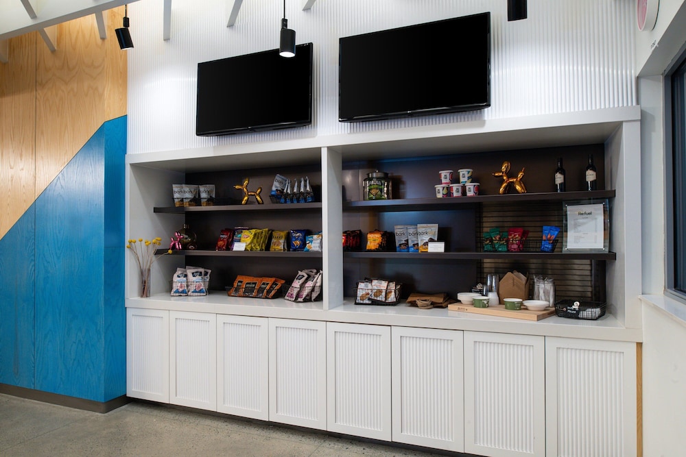 Aloft Charlotte Airport - photo 37