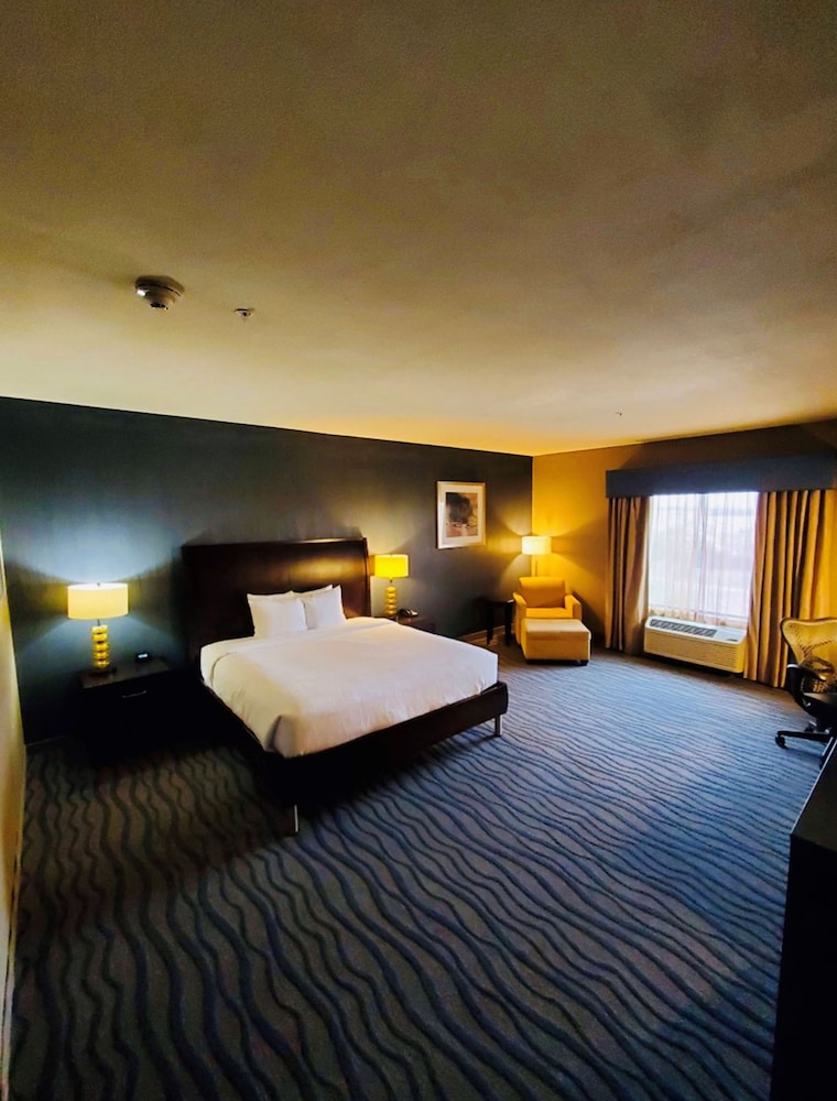 Hilton Garden Inn Fort Worth Alliance Airport - photo 16
