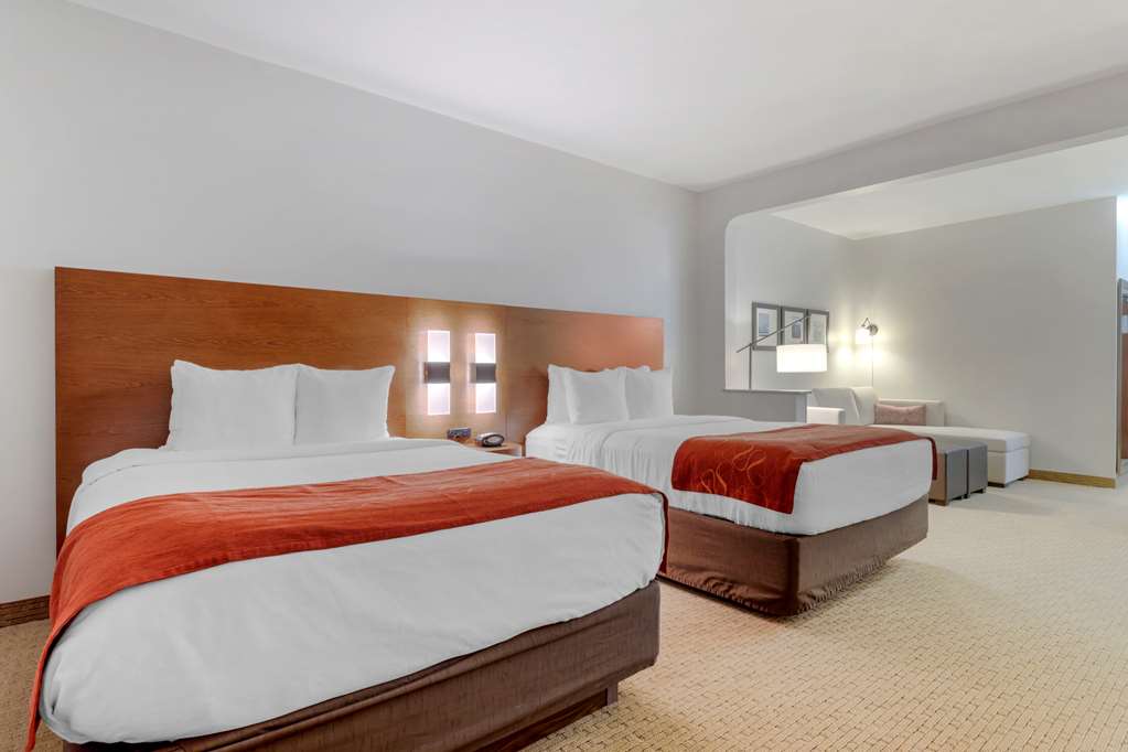 Comfort Suites La Porte Baytown - photo 26