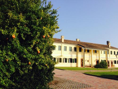 Il Paradello Albergo — hotel in Porto Viro