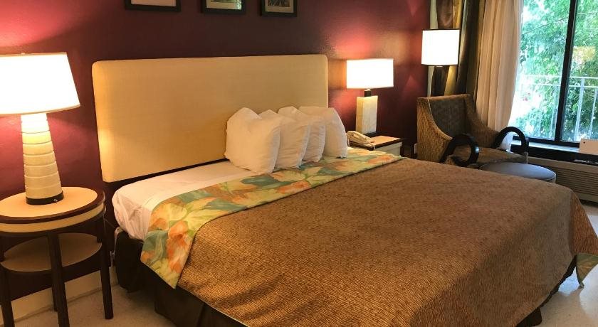 Flamingo Resort — hotel in St. Petersburg