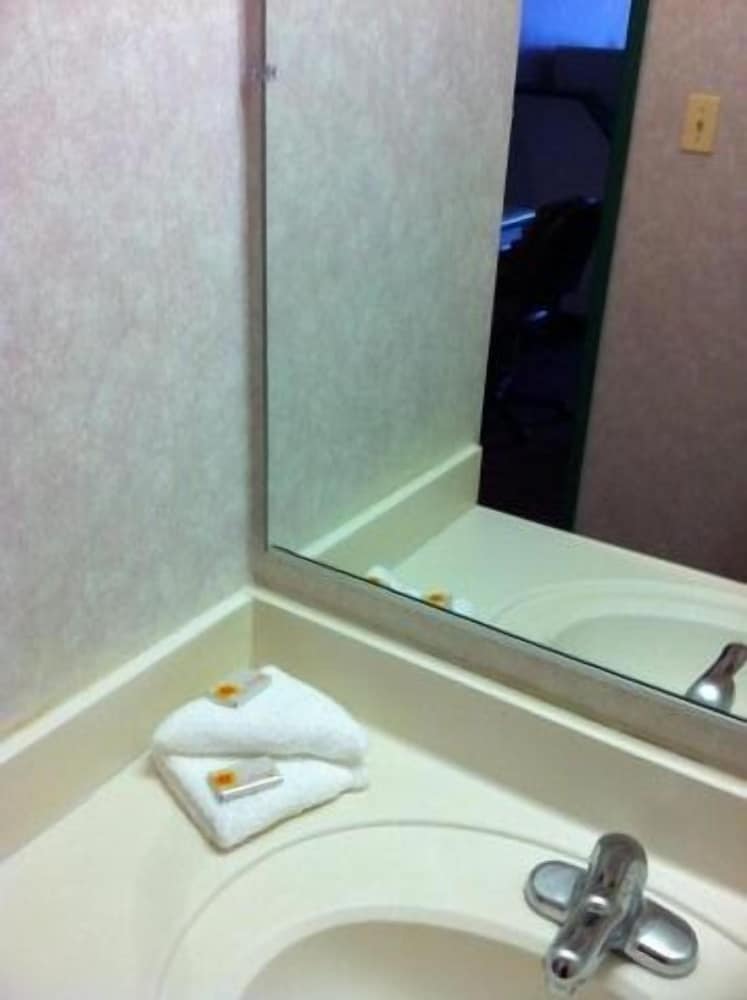 O'Hare Inn & Suites - photo 20