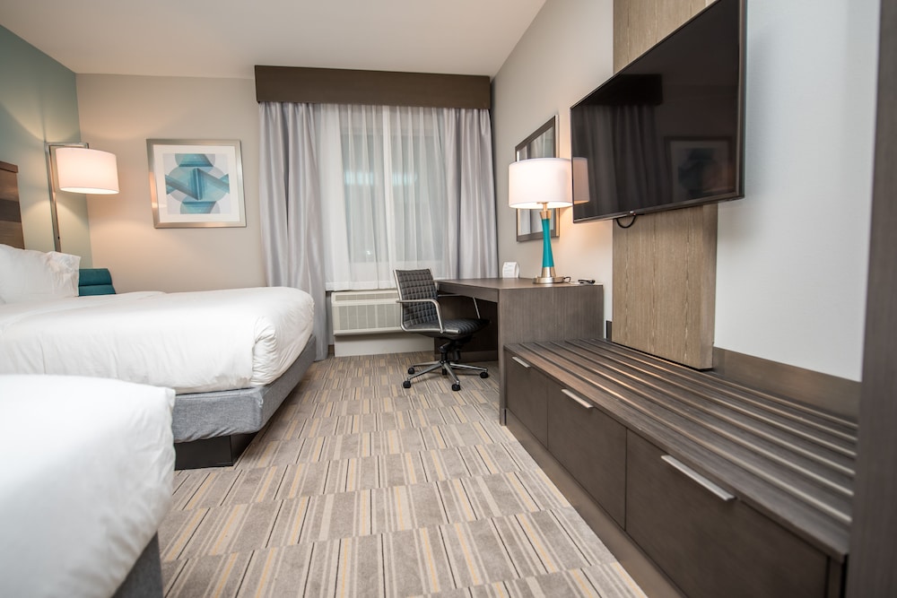 Holiday Inn Express & Suites Lake Charles South Casino Area by IHG - photo 47