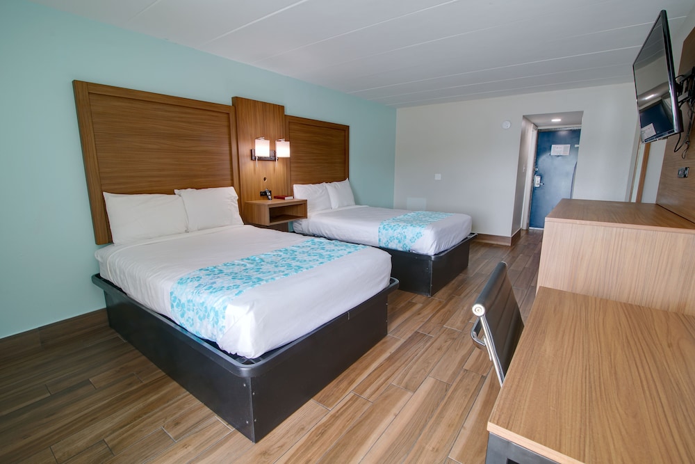 Seashire Inn & Suites - photo 6