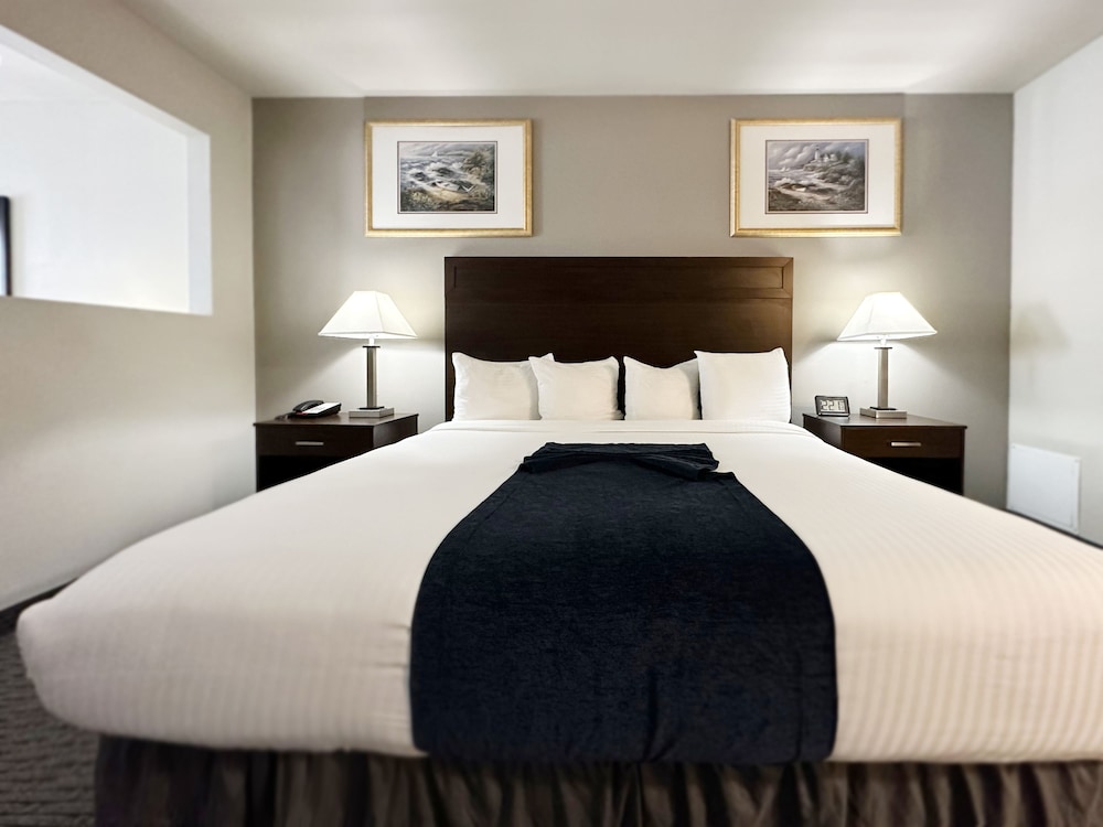 BayVue Hotel Resort and Suites - photo 8