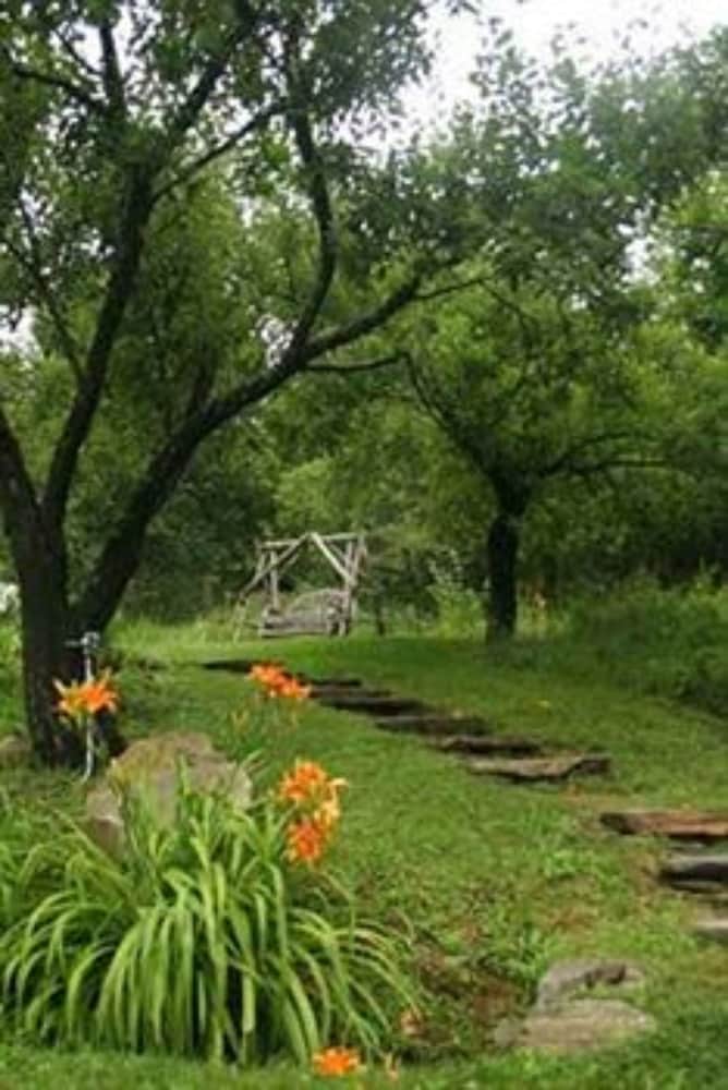 Deerhill Inn - photo 135