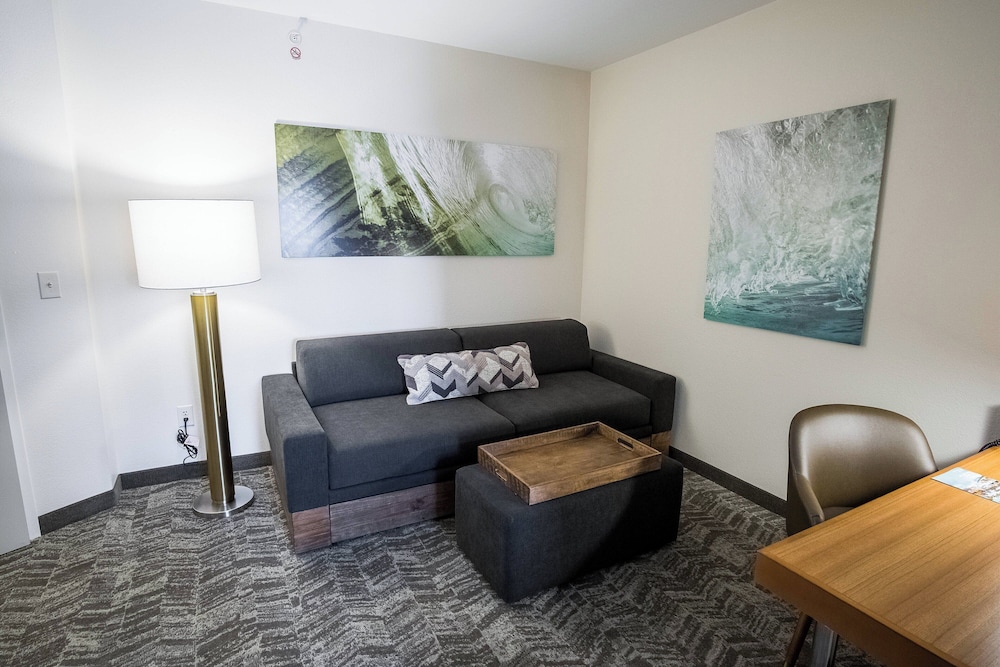 Springhill Suites by Marriott Winston Salem Hanes Mall - photo 5