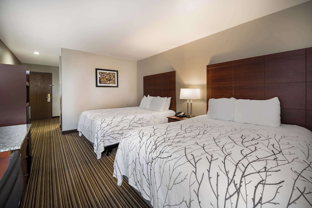 Best Western Park Oasis Inn - photo 31
