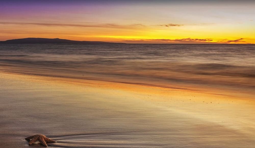 Love & Discover the Place of Your Dreams in 305 Lahaina - photo 22