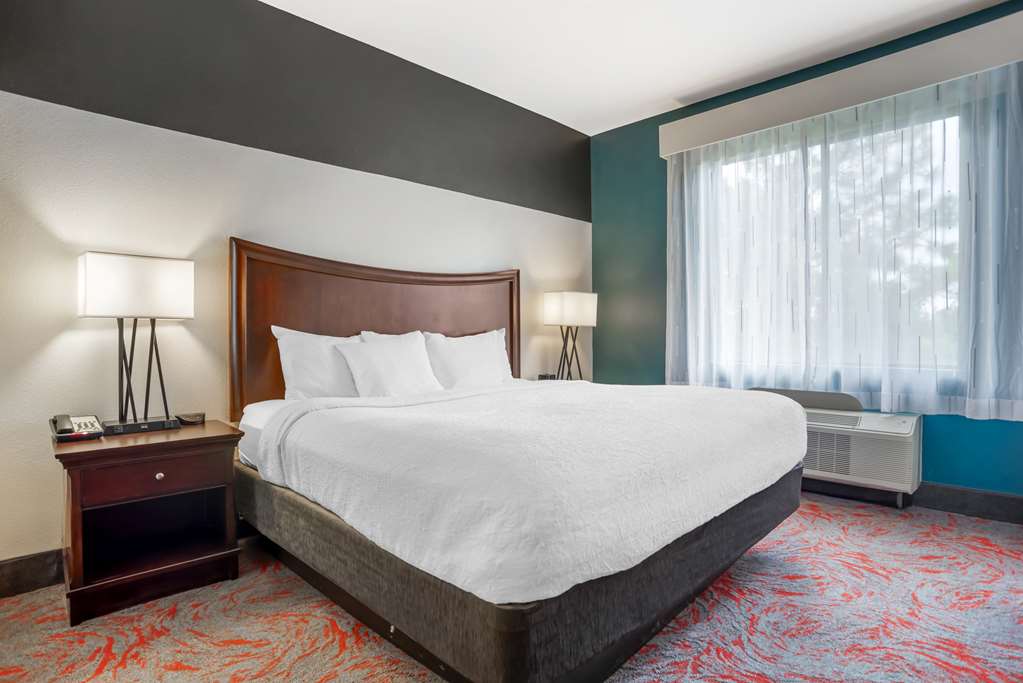 Best Western Plus Daphne Inn & Suites - photo 15