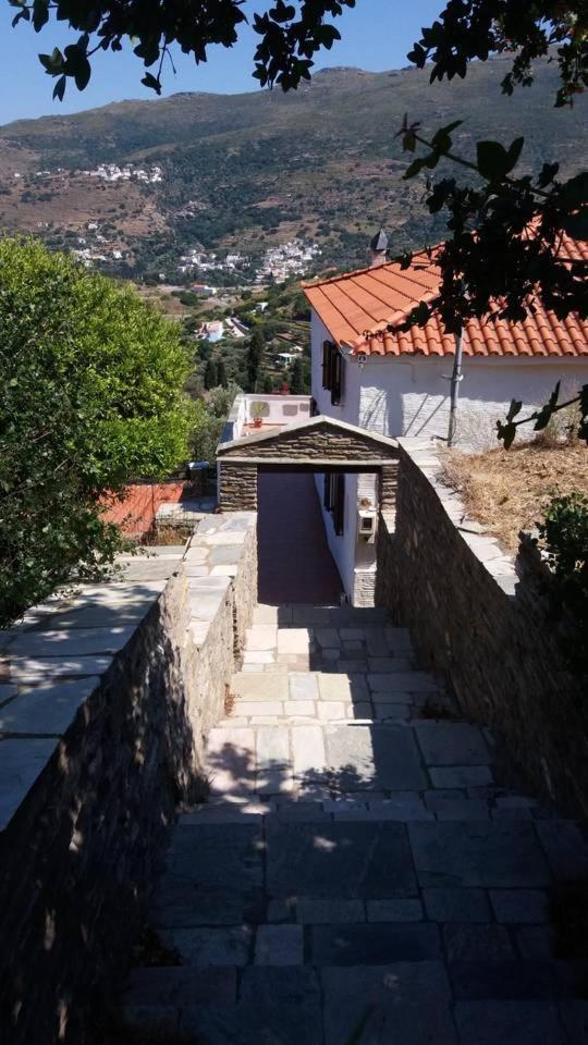 Green Oasis 2 in Andros, Greece