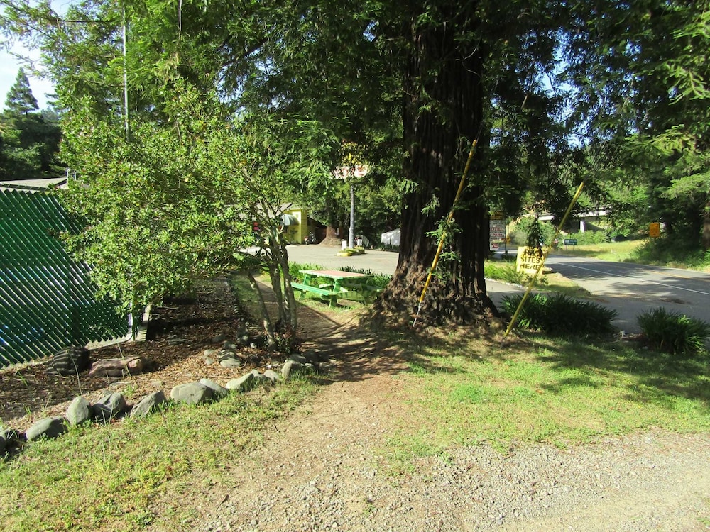 Dean Creek Resort - photo 40