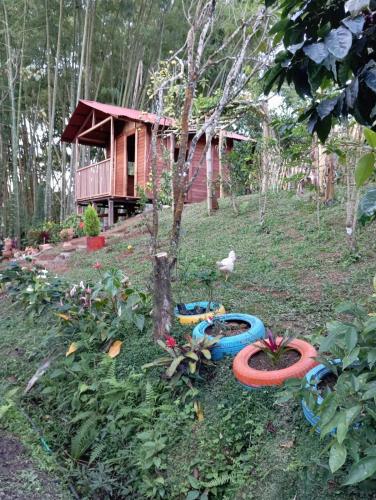 Ecoturismo Brisas Dé La Reserva in Unknown City, Colombia