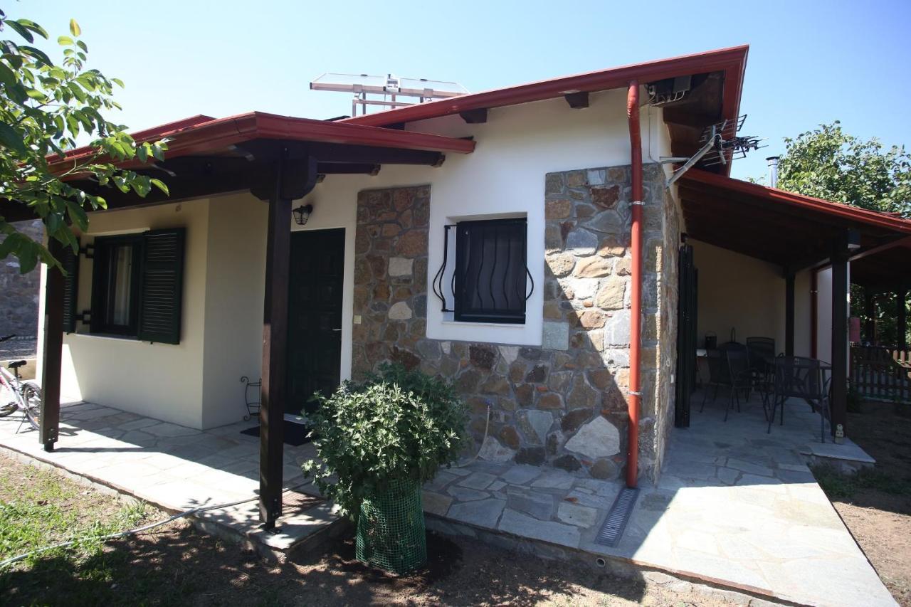 Boletus Mushroom pet-friendly hotel Pelasgia