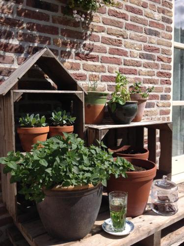 Hof van Renesse — Renesse — photo 4