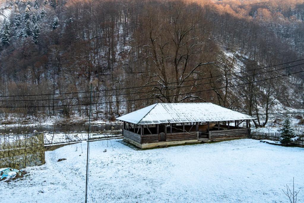 Mrija in Yaremche, Ukraine