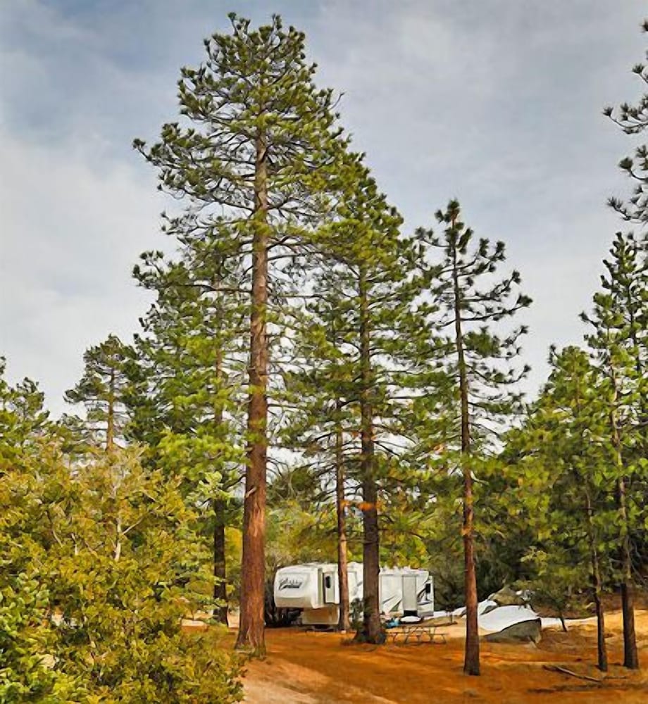 Idyllwild RV Resort Caravan Park - photo 17