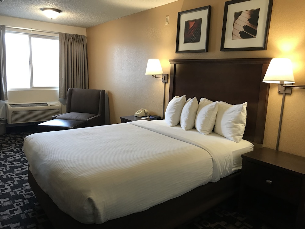 MorningGlory Inn & Suites - photo 6