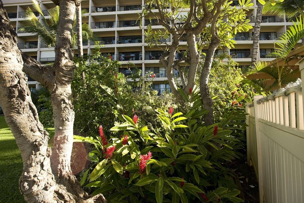 Crh Kihei Akahi - photo 64
