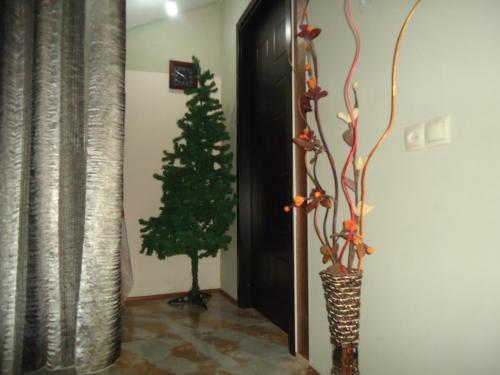 Guest House R&T