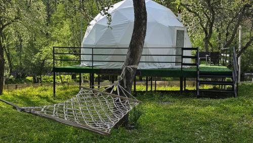 Doshdoli დოშდოლი