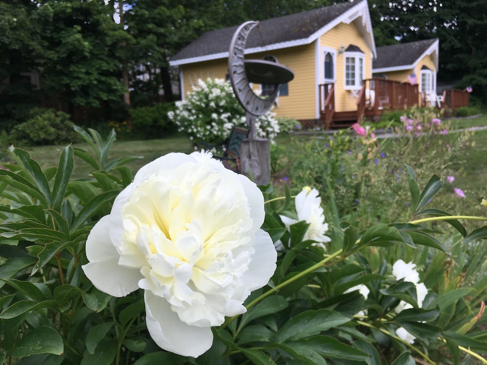 Sand Bar Cottage Inn - photo 92